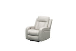 Oakwood Leather Power Recliner