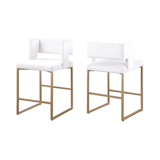 Rafael Counter Stool, Set Of 2