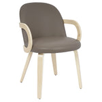 Halston Dining Chair, Set of 2