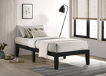 Addicus Upholstered Platform Bed - Black