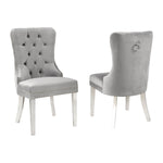 Emiliano Dining Chair (Set of 2)