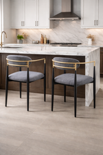 Miles Dining Chair (Set of 2) - Grey