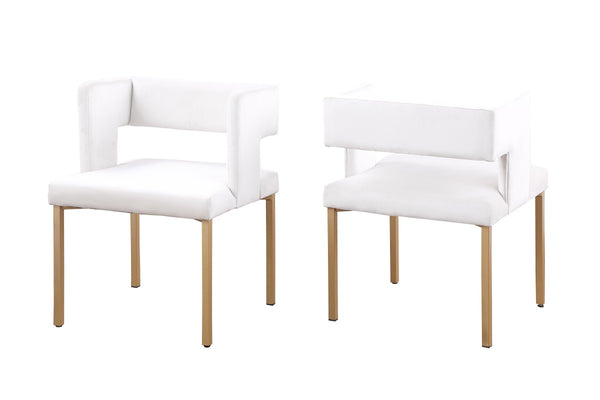 Arlo Dining Chair (Set of 2) - Beige
